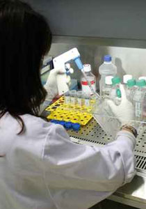 مقلق: ادوية تعالج السكري.. وتسبب السرطان!