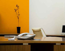 النباتات في المكتب تخفف التعب والاجهاد وتزيد من الانتاجية!!