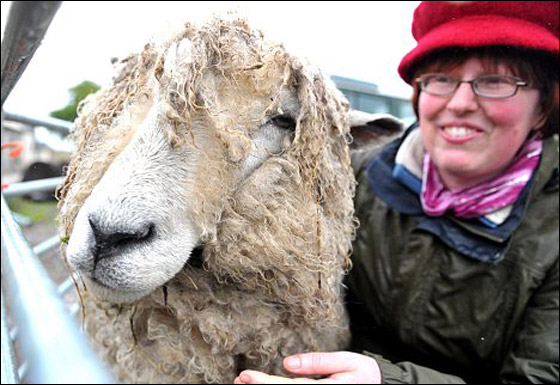اكتشفت معاناتها مع سرطان الثدي بمساعدة.. نطحة خروف!!