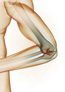 إنتاج عظام صناعية تشبه العظام البشرية من خشب الاشجار!!