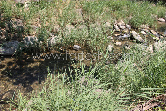 الامل تختتم مخيم الطابغة السنوي بفعاليات وبرامج رائعة