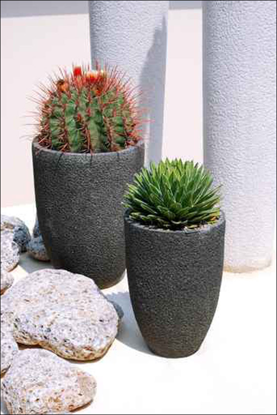 قواوير للورود بأشكال وألوان رائعة تزيد منزلك جمالا! 