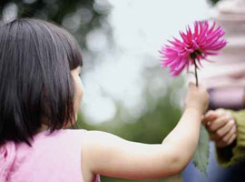 ايها الكريم.. الكرم لا علاقة له بالضغوطات الاجتماعية!