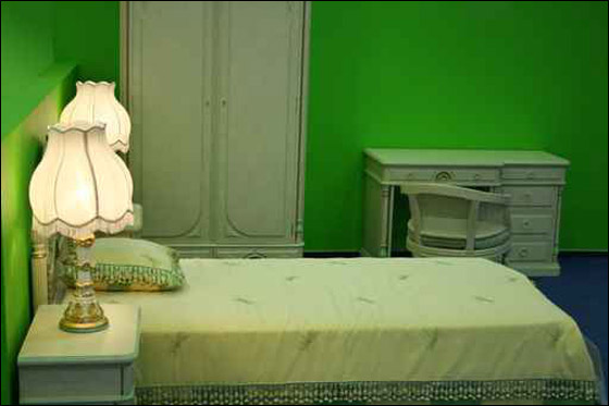 اليكم مجموعة مميزة لديكور المنزل باللون الاخضر!