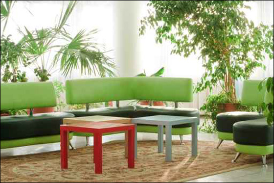 اليكم مجموعة مميزة لديكور المنزل باللون الاخضر!