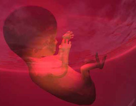 تحذير: التوحد يبدأ في الرحم وقبل ولادة الطفل!