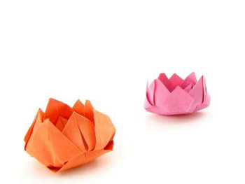 مجموعة رائعة من الازهار الورقية لتزيني بها منزلك!