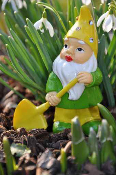 اليكم اطرف زينة للحديقة.. الاقزام!