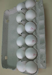 تأثير البيض والدهون المشبعة على الكولسترول في الدم!