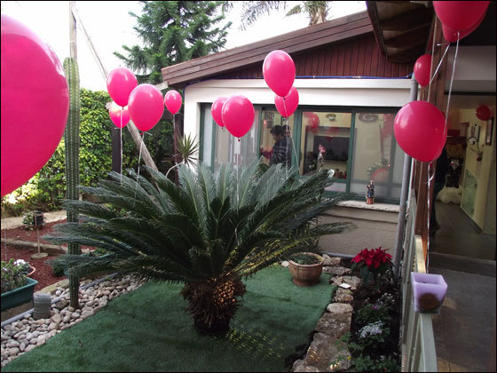 بروفا ومساج شامل لكل عروس في صالون فرنسي بشفاعمرو