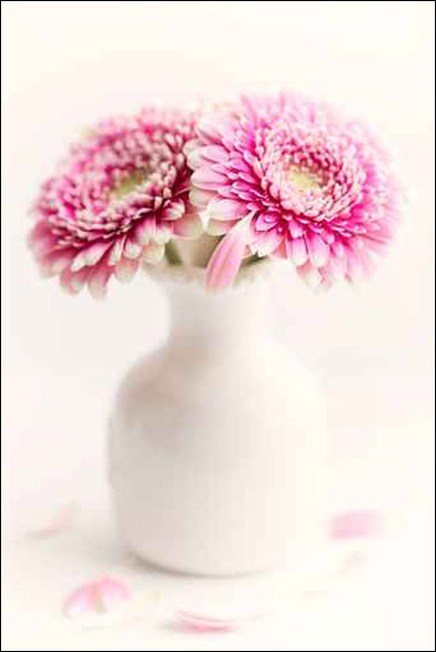 بالصور.. مزهريات رائعة لديكور بيتك!