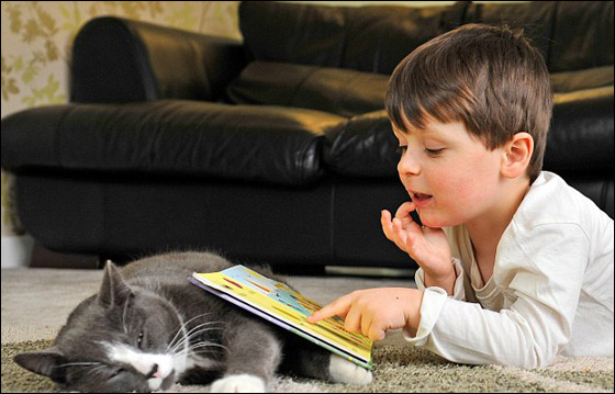 بالصور: قطة تؤنس طفل يعاني التوحد وتخرجه من قوقعته