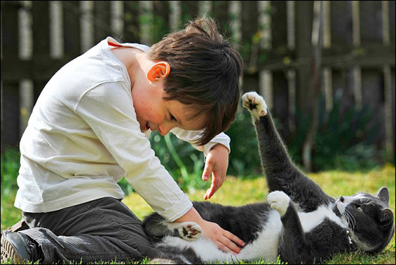 بالصور: قطة تؤنس طفل يعاني التوحد وتخرجه من قوقعته