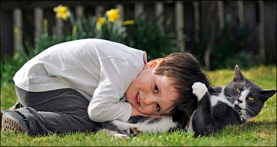 بالصور: قطة تؤنس طفل يعاني التوحد وتخرجه من قوقعته