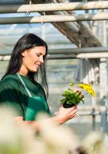 كيف تحافظين على جمال النباتات في منزلك؟!!