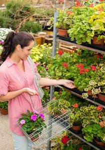 كيف تحافظين على جمال النباتات في منزلك؟!!